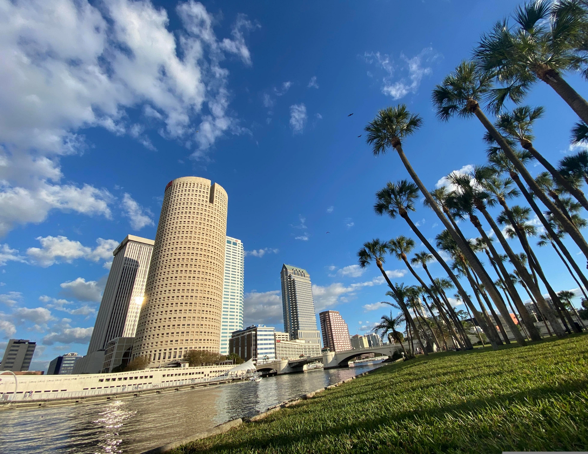 Non Resident category image